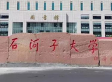 新疆石河子大學(xué)